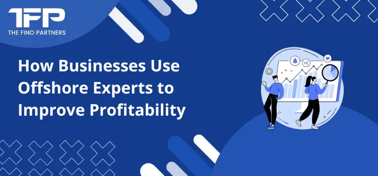 How Businesses Use Offshore Experts to Improve Profitability