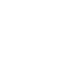 fino partner icon