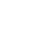 fino partner icon