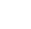 fino partner icon